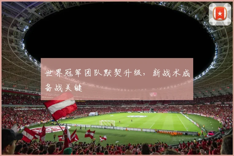 世界冠军团队默契升级，新战术成备战关键