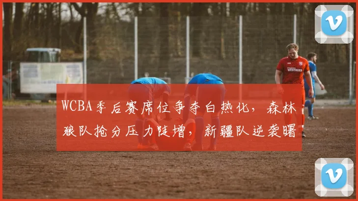 WCBA季后赛席位争夺白热化，森林狼队抢分压力陡增，新疆队逆袭曙光犹存