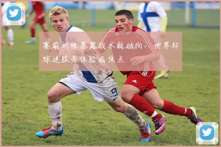 赛前训练暴露战术新动向，世界杯球迷服务体验成焦点